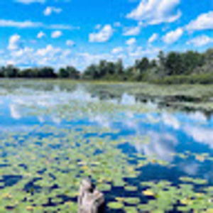 Meet your Posher, Linda